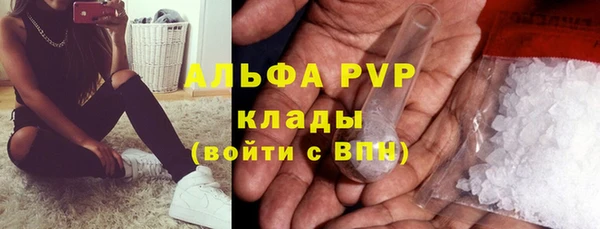 гашик Куйбышев
