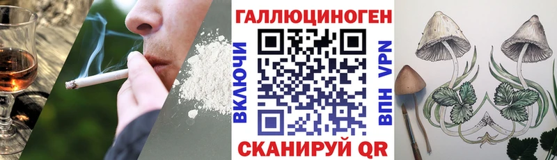 Купить где  Суджа  Псилоцибиновые грибы Magic Shrooms 